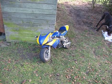 MiniBike pocket bike billede 9