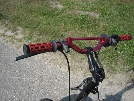 Piaggio tyffe pata negra projekt billede 1