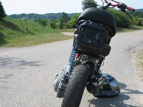 Piaggio tyffe pata negra projekt billede 2