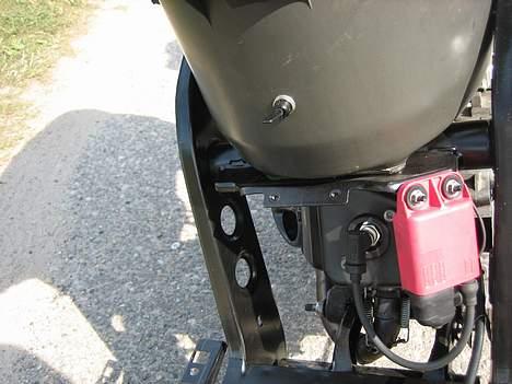 Piaggio tyffe pata negra projekt billede 4