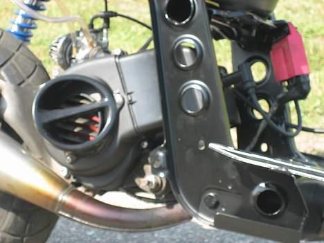 Piaggio tyffe pata negra projekt billede 8