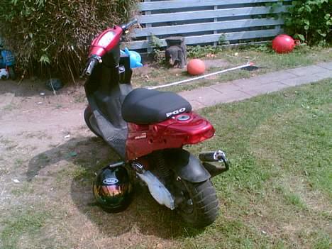 PGO Hot 50  - Sådan som den så ud før (: billede 3