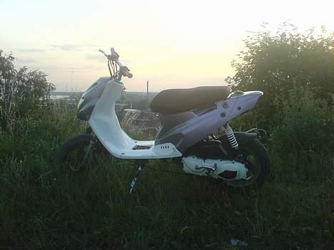 PGO hot50 - Kamelion [Solgt] billede 13