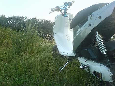 PGO hot50 - Kamelion [Solgt] billede 14