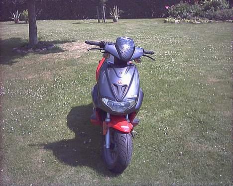 CPI Hussar FL Euro 2 *SOLGT* billede 3