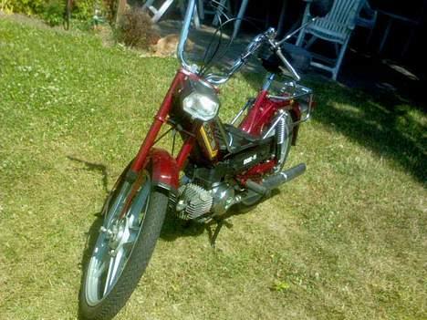 Puch maxi KL billede 12