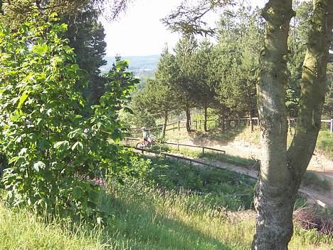 KTM sx 125 (SOLGT) billede 11