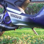 Yamaha spy .SOLGT  