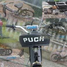 Puch Maxi k | Team Shot |