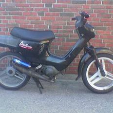 Honda Wallaroo