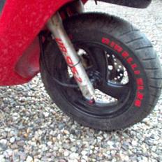 Honda SFX/  Red & Black 