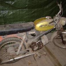 Puch VZ 50 Flagskib