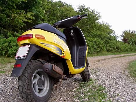 Piaggio Typhoon billede 2