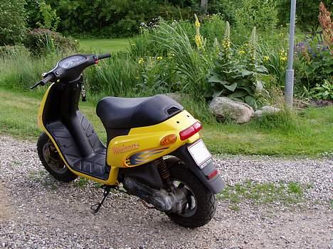 Piaggio Typhoon billede 6