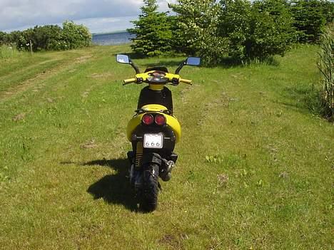 Aprilia Sr50 - tjek nummerpladen. yo es el diablo. y mio numero es 666 billede 5