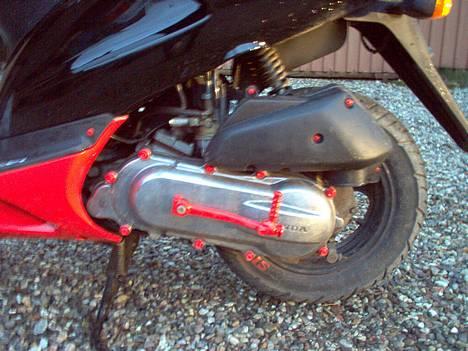 Honda SFX/  Red & Black  - røde skruer og rød kick starter billede 4
