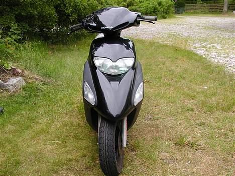 Honda sfx billede 6
