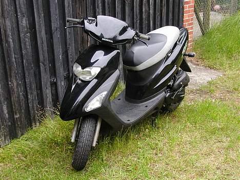 Honda sfx billede 4