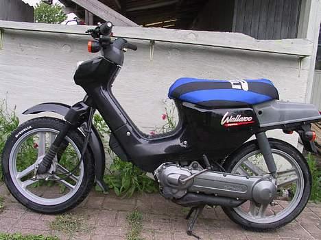 Honda a Wallaroo billede 2