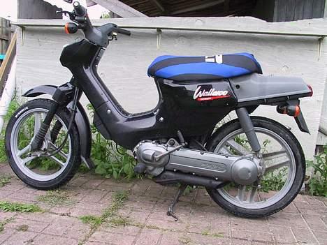 Honda a Wallaroo billede 3