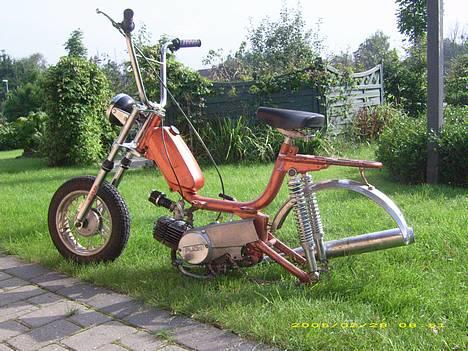 Garelli katia billede 2