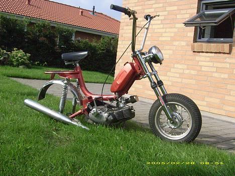 Garelli katia billede 3