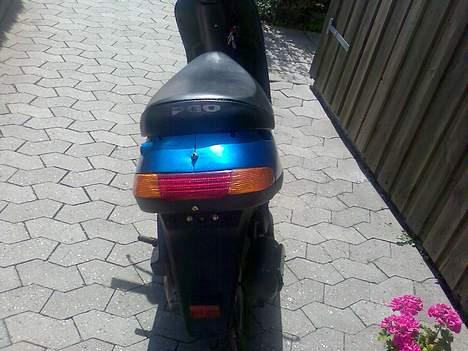 PGO comet (smaret) - bagfra  billede 11