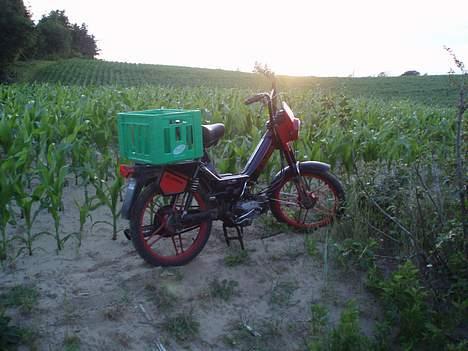 Puch 2 gear billede 2