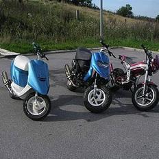 Suzuki **most wanted**- projekt