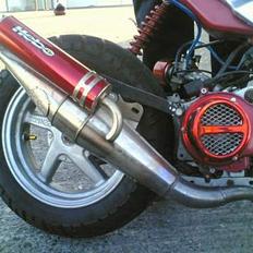 Suzuki **most wanted**- projekt