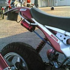 Suzuki **most wanted**- projekt