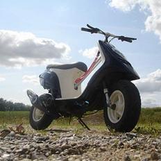 Piaggio //Typhoon\\ Solgt