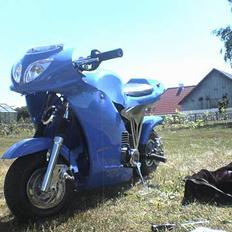 MiniBike !! Den blå racer solgt