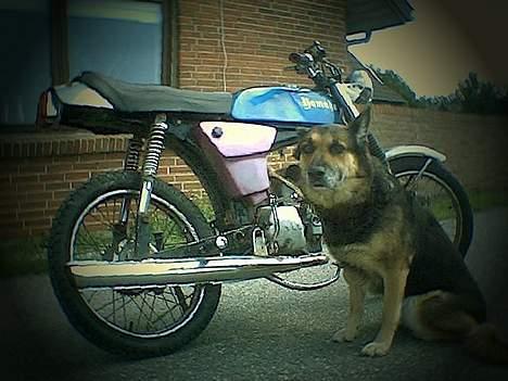 Yamaha 4 gear billede 8