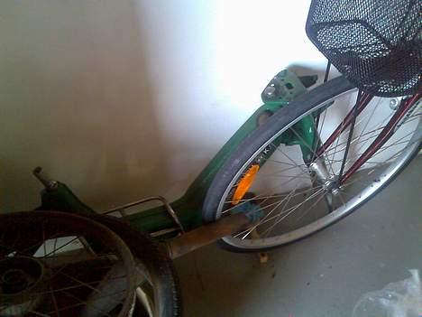 Puch Maxi //SOGLT// billede 5