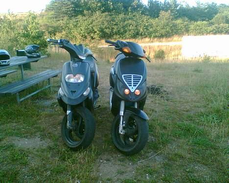 Gilera Stalker [Solgt] - Det store scootertræf .. Der kom ikke mange. billede 4