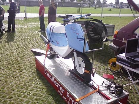 Yamaha Jog FS Perlemor - Felt til Herning Træf, brudte desværre samn inden jeg nåede og få en måling, var ellers først i køen... :( billede 1