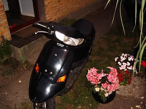PGO comet billede 4