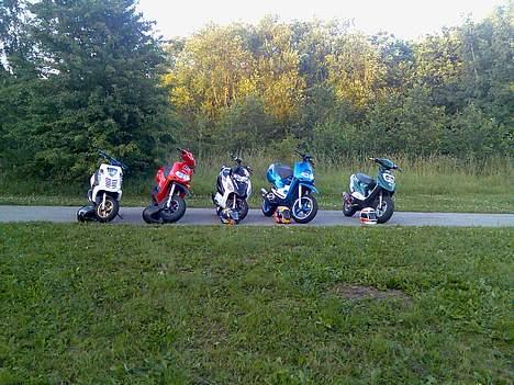 Aprilia Rally :D billede 15