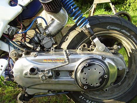 Suzuki street magic (byttet)  - mit varioskjold billede 16