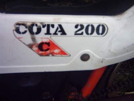 Veteraner montesa cota 200 solgt - kik godt efter der er noget der bevæger sig billede 6