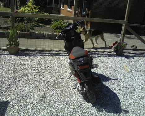 PGO PMX Sport ( Tilsalg/Byt) - NYT billede 10