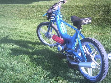 Puch maxi, byttet til lc sonic - bagfra ;) heh billede 7
