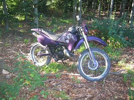 Suzuki rmx (byttet) - en tur i skoven billede 1