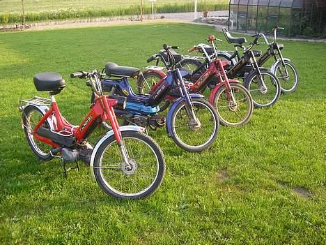 Puch Maxi K Solgt billede 8