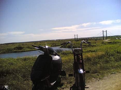 Vespa Bravo billede 1