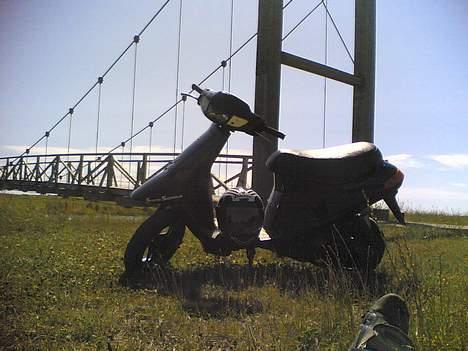 Vespa Bravo - min vens scoot billede 3