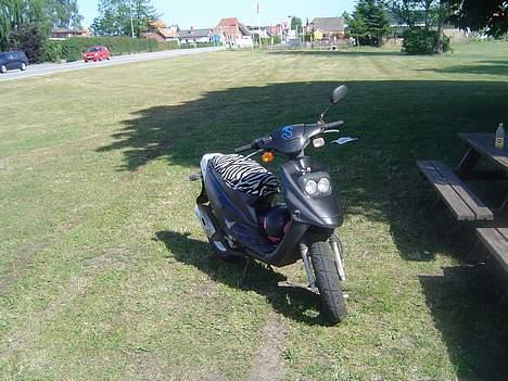 PGO Big max  - Nyt pic 15 juli  billede 11