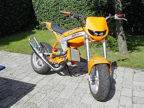 Suzuki Street Magic *SSM KONGEN* billede 8