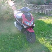 Peugeot Speedfight 2 Død:( 